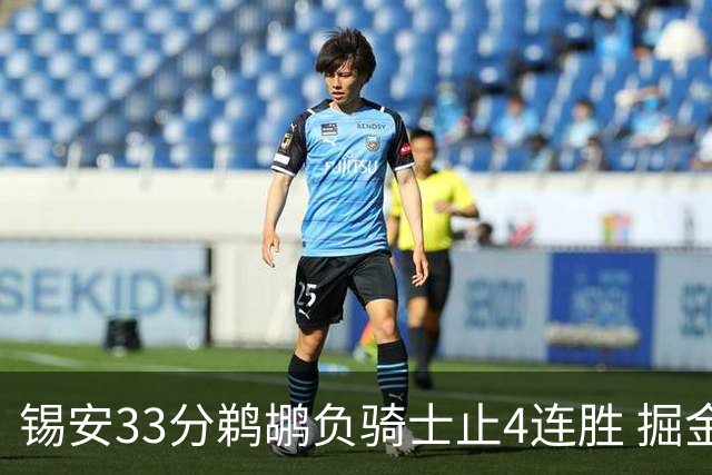锡安33分鹈鹕负骑士止4连胜 掘金送热火4连败